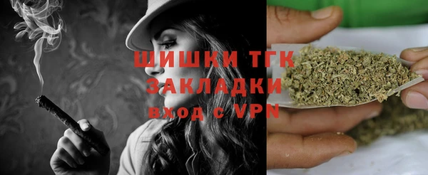 дживик Александровское