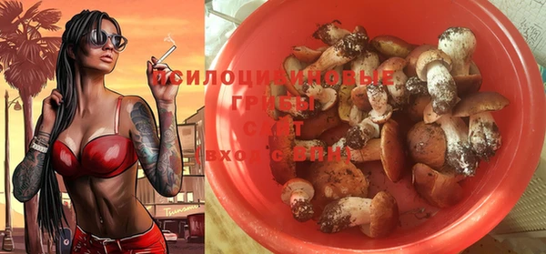 дживик Александровское