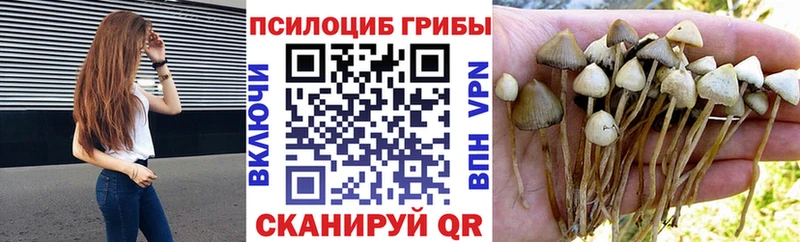 Галлюциногенные грибы прущие грибы  Усть-Джегута 
